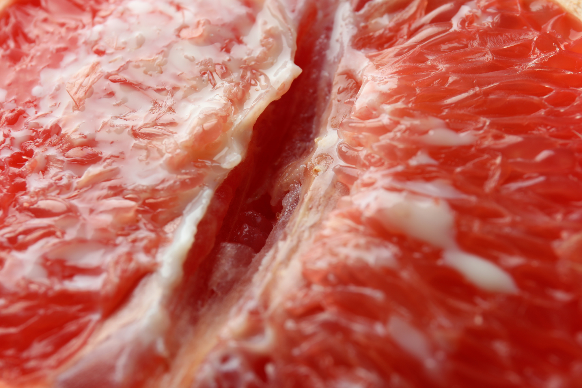 Grapefruit with condensed milk on whole background, close up